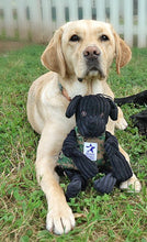 Load image into Gallery viewer, A yellow labrador with a black laborador plush dog toy. The plush black laborador toy has a digital camo vest and Warrior Canine Connection logo patch on the chest.