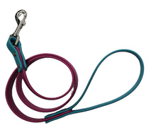 Load image into Gallery viewer, 4-Foot Biothane® Leash **colors will vary