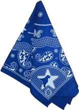 Load image into Gallery viewer, WCC Bandana