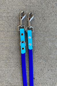 Biothane Leash **colors may very
